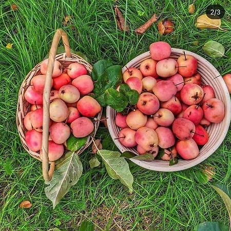 The Apple And Plum Cottage Studio Apartment New Reading Bagian luar foto