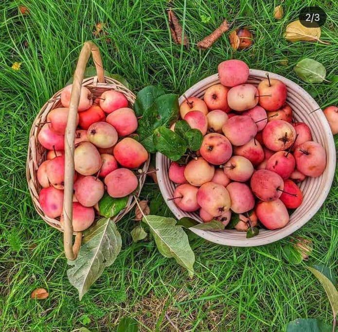 The Apple And Plum Cottage Studio Apartment New Reading Bagian luar foto
